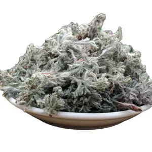 Yin Chen chino Natural seco Herba Artemisiae Scopariae orgánico Virgate ajenjo