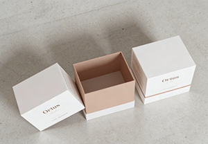 Two-Piece Rigid for Certified Luxury Gift Box Matt Lamination Embossing Sponge Lining-Customizable High-End <b>Packaging</b> Vietnam - Product Image 4