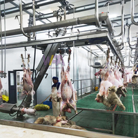 Abattoir complet de moutons abattoir d'agneau machines de traitement de viande de mouton pour l'abattage de chèvres équipement de boucherie