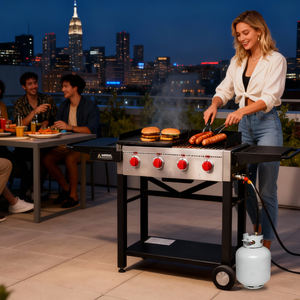 Hete Aanbieding: Draagbare, Opvouwbare Buiten Gasgrill voor Buitenbarbecues - Product Image 4