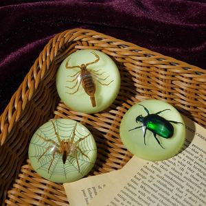 ユニークに設計された半円形レシン紙重量本物の剥製サソリでルーサイト装飾ハロウィーンの装飾のための完璧なお土産 - Product Image 4