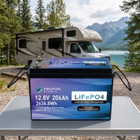 Batterie au lithium LiFePO4 12V 200Ah 230Ah Plus avec BMS 200A, longue durée de vie, cycle profond, pour camping-car, marine, systèmes solaires hors réseau