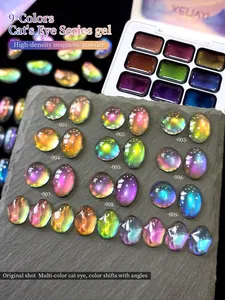 Gel de Uñas Efecto Ojo de Gato de 9 Colores, Alta Saturación, Popular, Semisólido, en Envase, para Uso Profesional en Salones de Uñas - Product Image 1