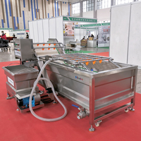 HDF Automatische Motorisch Aangedreven Clementine Wasmachine 304 RVS Fruit- en Groenteverwerkingsmachine 800kg/uur Capaciteit