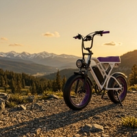 Vélo électrique à pneus larges OBX G60 avec logo personnalisé, 1000W 48V 20Ah, pour les propriétaires de marques et les cyclistes adultes, entrepôt américain