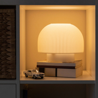 Veilleuse LED 3D de luxe avec prise de base E14/E26 pour alimentation DC/AC