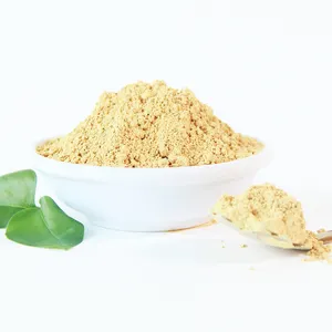 Wholesale Organic Milk Thistle Seeds Extract Powder Milk Thistle Capsule Silymarin Marianum Extract Powder