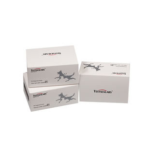 Testsealabs à domicile, <span class=keywords><strong>kit</strong></span> de test rapide de <span class=keywords><strong>diagnostic</strong></span> d'anticorps du virus de la fièvre porcine classique (FPV) à haute précision, <span class=keywords><strong>cassette</strong></span> d'anticorps CSFV Ab - Product Image 5