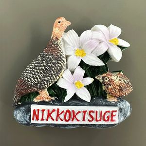 Imanes Personalizados para Refrigerador, Recuerdo de Viaje a Japón, Ciudad de Nikko, Reserva Natural, Okayama, Faisán <span class=keywords><strong>Verde</strong></span>, Decoración, Regalo, Imán 3D - Product Image 4