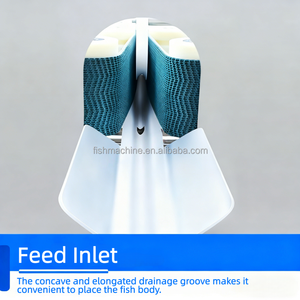 Visontbeenmachine semi-automatisch, voor <span class=keywords><strong>Tilapia</strong></span> tot Baars (20g-2000g), 3-delige snede, met pomp motor voor de viskwekerij - Product Image 5