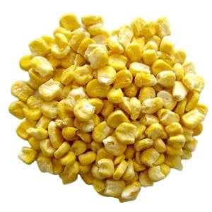 Granos de maíz chinos liofilizados de alta calidad, sin azúcar y en conserva, verduras secas súper dulces enteras en embalaje a granel - Product Image 1