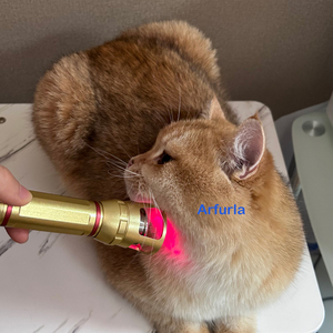 Terapia <span class=keywords><strong>Laser</strong></span> Veterinaria 980 810nm per Gestione del Dolore, Infiammazione e Guarigione delle Ferite, Trattamento Fisioterapico - Product Image 2