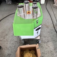 Commerciële multifunctionele fruit- en groentesnijmachine, snijden, schijven, raspen, roestvrij staal, voedselverwerker, fabrieksgebruik 1