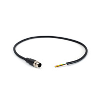 Câble de connexion M12 à 12 broches, extrémité mâle M12, câble en PVC, longueur 30 cm