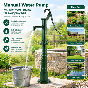 Manual Low Pressure Piston <b>Pump</b> with Stand Cast Iron Body for Garden Irrigation and Farm Watering - Product Image 1