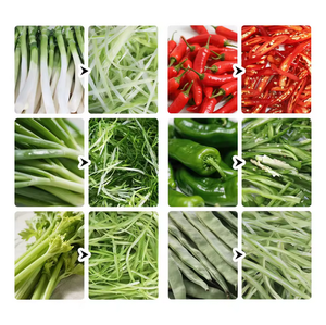 优质电动食品加工机蔬菜碎纸机葱卷心菜辣椒芹菜碎纸机 - Product Image 4