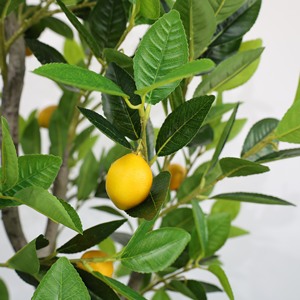 Arbre artificiel <span class=keywords><strong>citronnier</strong></span> de 120 cm avec <span class=keywords><strong>pot</strong></span>, feuilles de citron artificielles réalistes, plantes d'intérieur artificielles <span class=keywords><strong>pour</strong></span> la décoration de la maison - Product Image 5