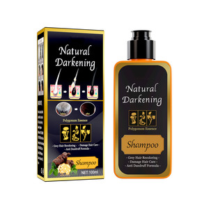 Champú para tratamiento de pérdida de cabello de alta calidad, cuidado de jengibre, crecimiento del cabello, antipérdida de cabello, champú dañado shouwu a base de hierbas para mujeres - Product Image 1