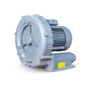 1.5KW RB-022 Gas Boiler Boiler 220/380V Centrifugaal Ventilator Blower