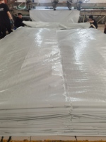 Bâche en PE enduite blanche, imperméable, résistante à la pluie, pour extérieur, jardin, abri pour plantes, bateau, voiture, camion