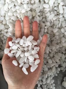 Cobble et galets ronds blancs naturels de conception moderne pour la décoration de paysage et de jardin du Vietnam - Product Image 2