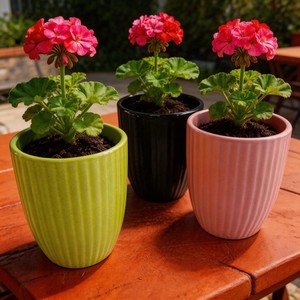 Pot de fleurs <span class=keywords><strong>en</strong></span> céramique émaillée vert printemps HARVIT Stone Clay / Pots de fleurs personnalisés / Pots de <span class=keywords><strong>jardin</strong></span> rustiques - Écologiques et durables - Product Image 5