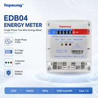 Meter Energi kWh Tepsung EDB04 Satu Fasa Dua Kawat Kelas 1.0 60A 5A Arus Terukur untuk Penggunaan Rumah Tangga & Industri Tahan Air