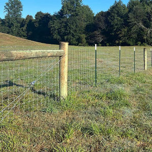 Cercas <span class=keywords><strong>para</strong></span> Granjas de Cría de Caballos, Ganado y Ciervos con Malla Cuadrada Ondulada de Alambre Metálico Galvanizado <span class=keywords><strong>para</strong></span> Recintar Ganado y Aves de Corral - Product Image 5