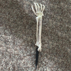Décorations d'Halloween Plastique Effrayant Jardin Animé Corps Halloween Humain <span class=keywords><strong>Mr</strong></span> <span class=keywords><strong>Bones</strong></span> Squelette Décoration Fantôme Halloween Squelette - Product Image 5