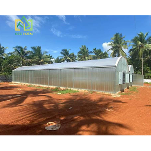 เรือนกระจกสำหรับพืชสีเขียวทำจากพลาสติกใช้ในฟาร์มเพื่อการค้าใช้เป็นโครงโลหะช่วงเดียวอุโมงค์สูง - Product Image 6