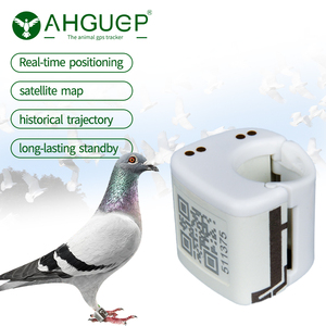 Ahguep thương hiệu Pet Tracker Hot Bán <span class=keywords><strong>GPS</strong></span> Bird Tracker 4 gam GSM GPRS GLONASS Beidou AGPS IP67 không thấm nước vòng chân ngoài trời Android lbs - Product Image 1