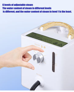 Défroisseur vapeur électrique portatif 2600W avec réservoir d'eau de 1L, chauffage rapide en 30 secondes, réglage multi-niveaux sec/humide, pression vapeur de 2-3,5 bars - Product Image 2