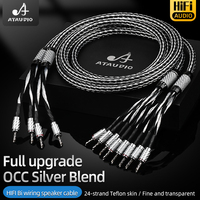 Câble de haut-parleur audiophile HIFI bi-câblage 24 brins OCC et argent avec fiche banane en fibre de carbone pour lecteur DVD et amplificateur