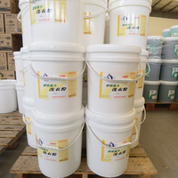 Commerciale en vrac écologique de conception de poudre à laver de produit d'usine pour la catégorie et la formule différentes