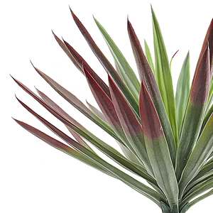 Chất lượng cao nhân tạo agave cây trồng trong chậu cây nhân tạo cây bonsai cho trong nhà ngoài trời trang trí - Product Image 4