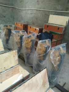 建設機械ハンドヘルドYN27Cジャックハンマーガソリンロックドリル - Product Image 4