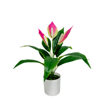 TREESMAS Nouvelle plante artificielle en plastique rose foncé 45x40cm, fleurs décoratives personnalisables pour l'intérieur et l'extérieur, maison, jardin, Chine