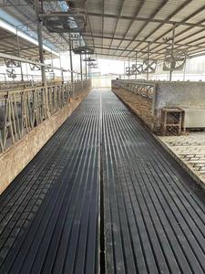 <span class=keywords><strong>Tapis</strong></span> en <span class=keywords><strong>caoutchouc</strong></span> durable pour l'écurie, grattoir à fumier en <span class=keywords><strong>caoutchouc</strong></span> pour la ferme laitière, plaque en <span class=keywords><strong>caoutchouc</strong></span> pour le <span class=keywords><strong>sol</strong></span> du hangar - Product Image 5