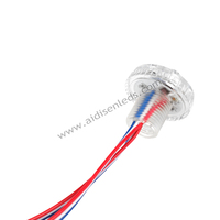 36mm RVB SM16703 du fabricant Source de lumière LED d'intérieur Corps en PC Lumières de Noël permanentes pour le paysage