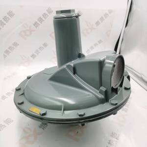Réducteur de gaz EN334 DN50 AMCO ELSTER pour stock - Product Image 2