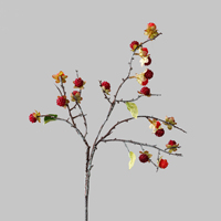 Ranting Raspberry Palsu Seri Modili, Ranting Kering Alami, Batang Buah Buatan, Dekorasi Rumah Rustic Wabi Sabi, Ranting Buah Buatan