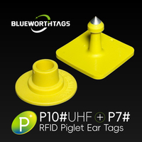 BLUEWORTH P10 # УВЧ+П7 #   Квадратные электронные ушные бирки UHF RFID для свиней, 860~960 МГц