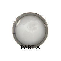 Mastic époxy transparent Tenax Eliox A+B Extra Clear pour pierre, marbre, granit, adhésif transparent à haute résistance