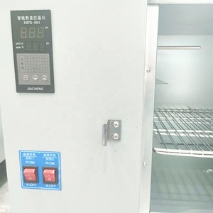 Hornos de Alta Temperatura de 150 Litros para Uso Ambiental / Horno de Secado por Aire Caliente para Laboratorio a 300 Grados - Product Image 5