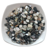 Vente en gros de copeaux de coquillages naturels recyclés de 3-5 mm, pierres de nacre, écologiques, non toxiques, matériau de pavage pour les parcs