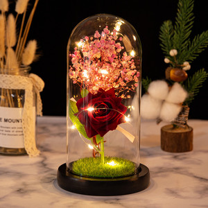 Flor Preservada en Cúpula de Cristal, Rosa Seca, Regalo Creativo Hecho a Mano con Luz LED para el Día de San Valentín, Navidad, para Novia - Product Image 6