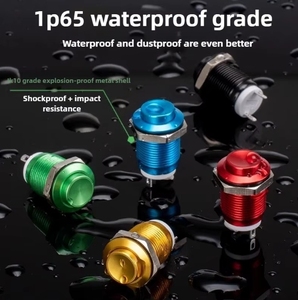 Mini <span class=keywords><strong>interruptor</strong></span> Sweideer de 12mm, reinicio automático momentáneo, botón pulsador de <span class=keywords><strong>encendido</strong></span> a prueba de agua, <span class=keywords><strong>interruptor</strong></span> de botón de <span class=keywords><strong>encendido</strong></span> de Metal - Product Image 5