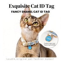 Collier de luxe pour chien, réglable, mains libres, multifonctionnel, personnalisé, 4-en-1, en nylon enduit de PVC, imperméable, avec trous supplémentaires et accessoires de charme