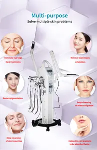 9 in 1 macchina multifunzione per la pulizia della pelle del piroscafo facciale 9 in 1 macchina per la pulizia della pelle multifunzionale