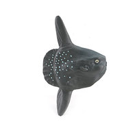 Modèle d'animaux marins en PVC massif, simulation transfrontalière, décoration élégante, souvenir d'aquarium, jeu cognitif pour la maternité
